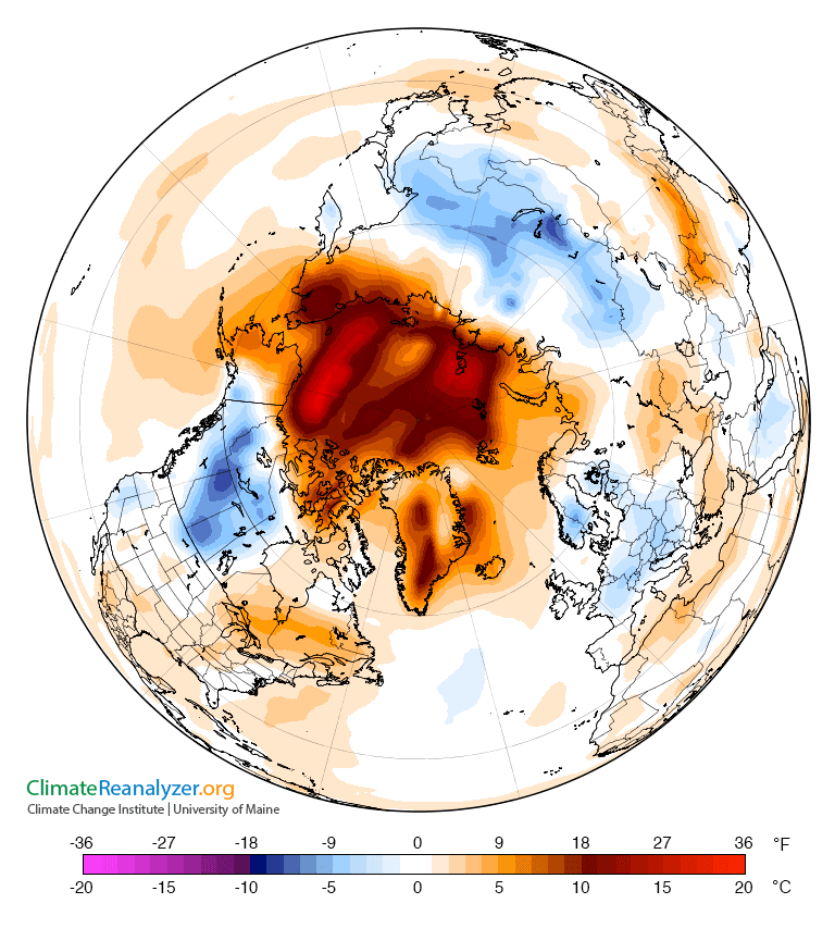 Arctic temperate map