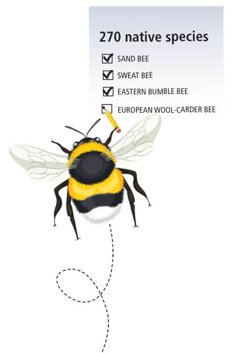 Bee making a list