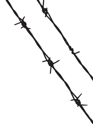 barbed wire