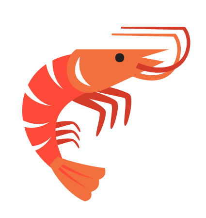 shrimp graphic