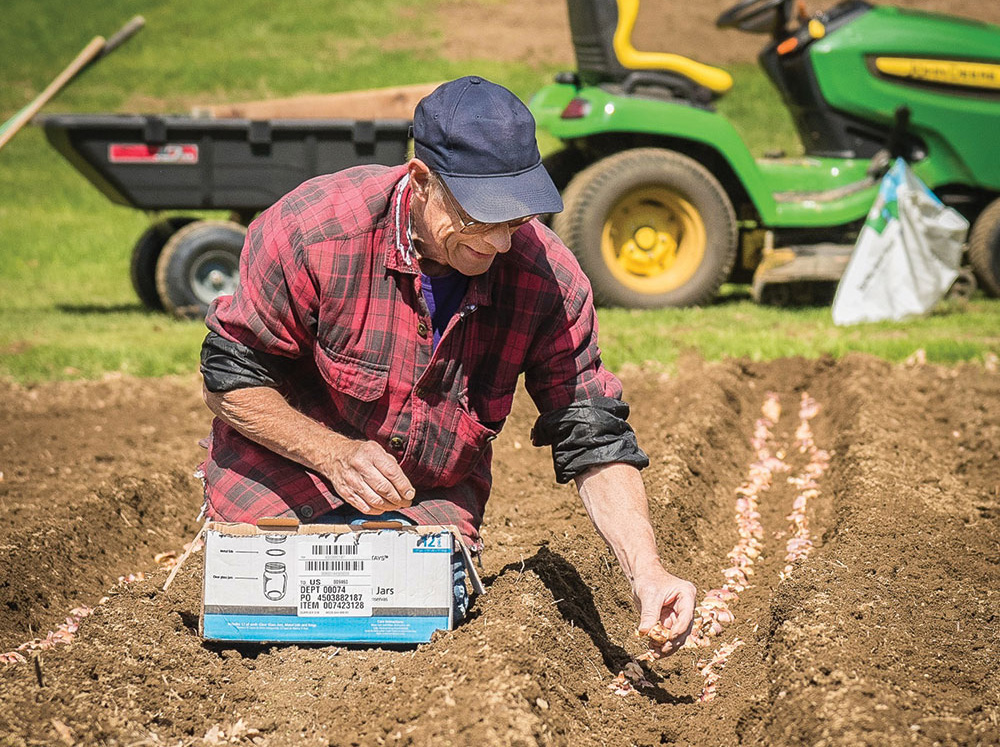 Elderly man planting seeds