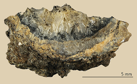 Mineral