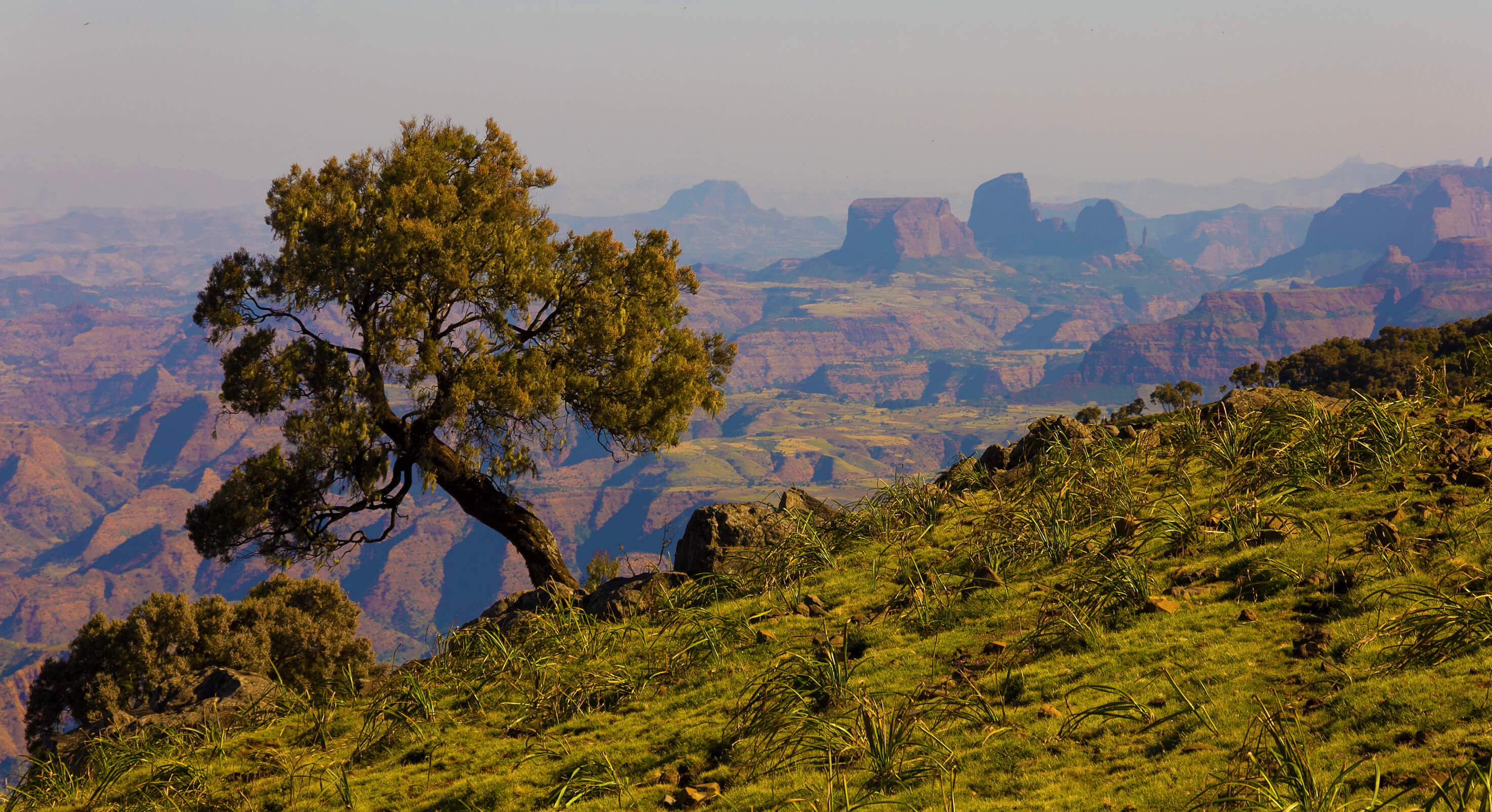 African-landscape