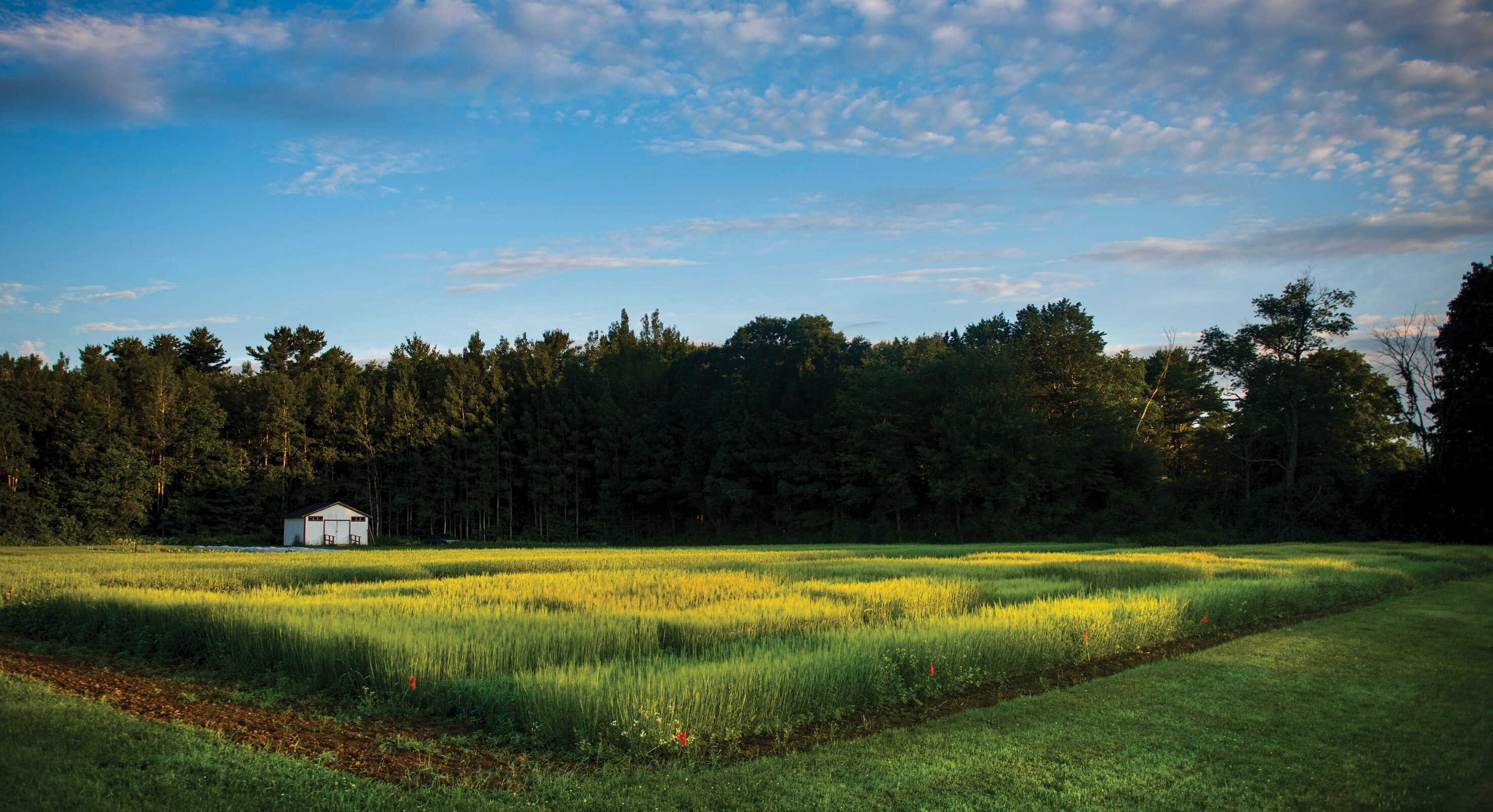 Farm