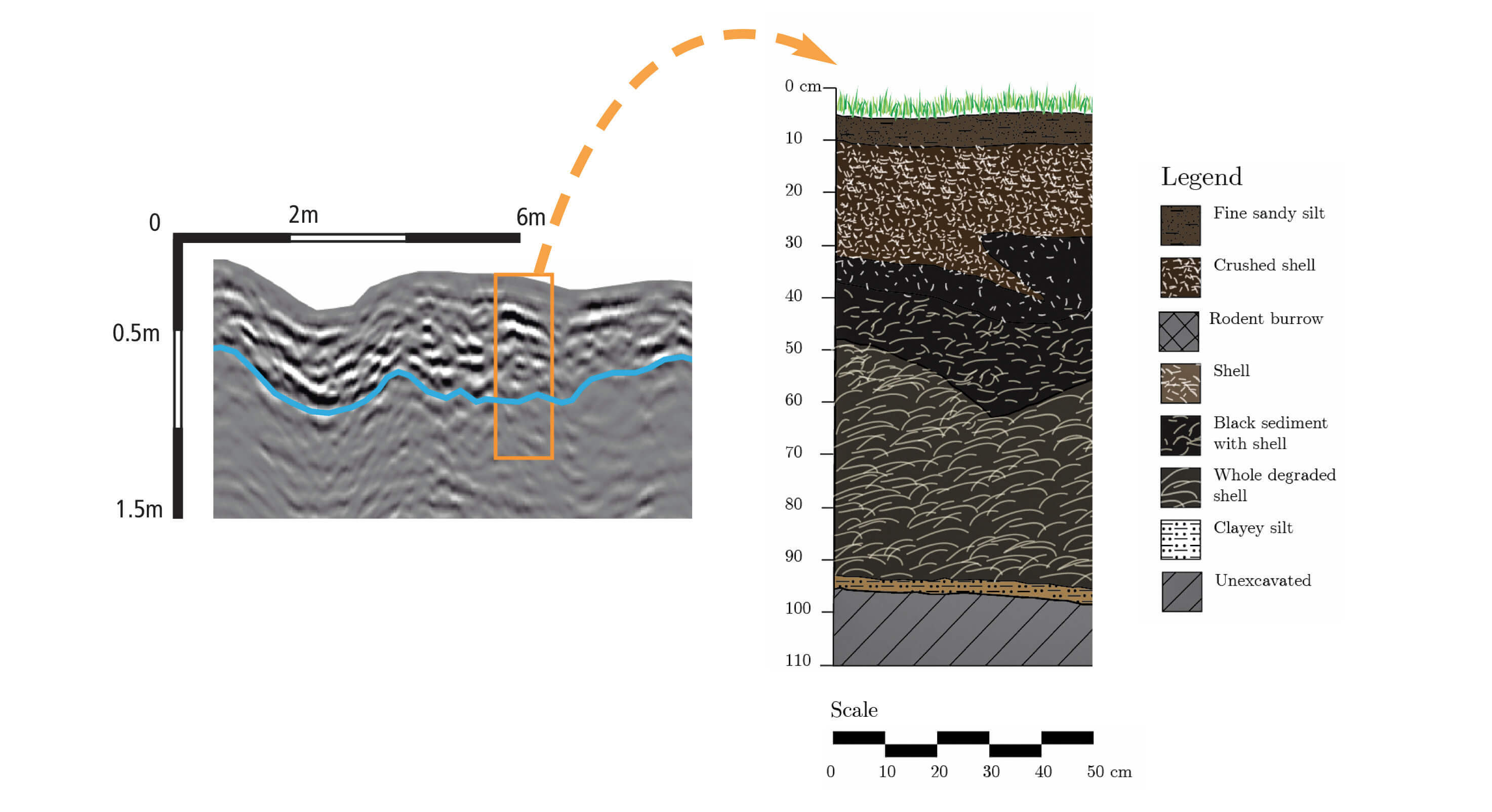 Shell-midden-cross-section-3-1