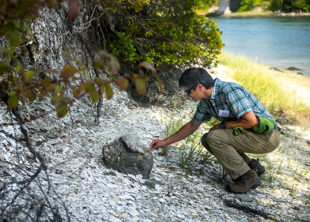 Shell midden examination