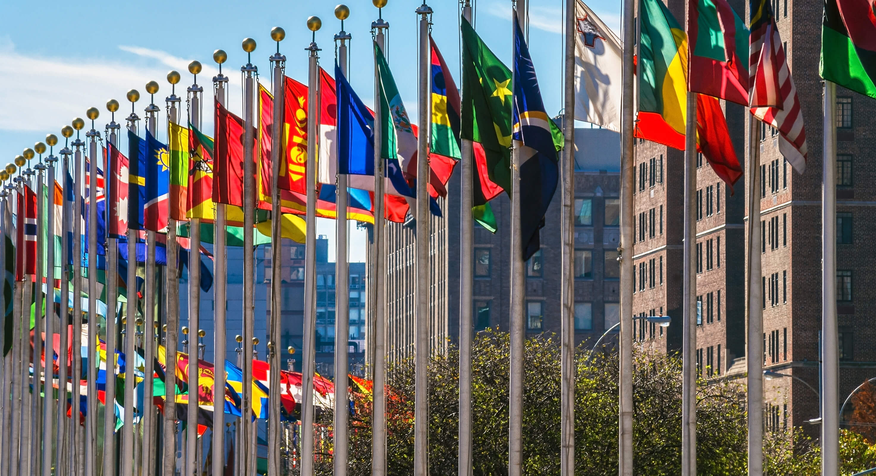 United-Nations-flags-1-1