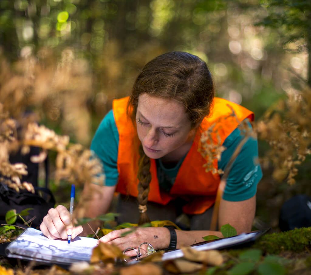 Allison Brehm working in a forest