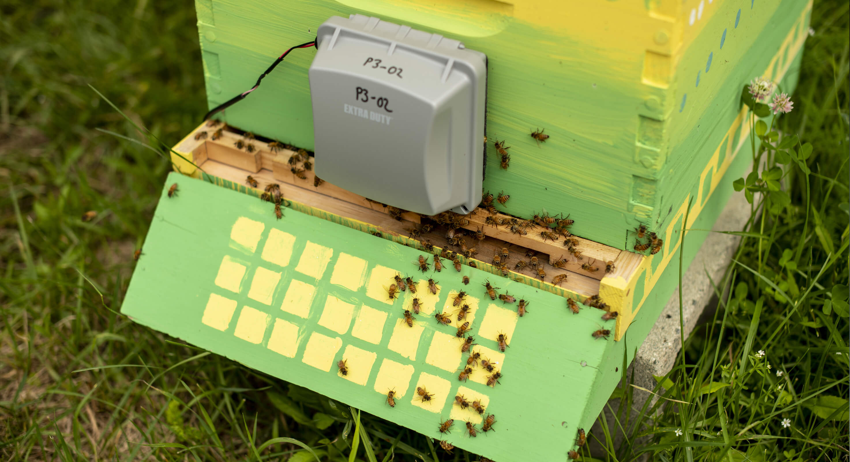 Healthy-hives-centered-image