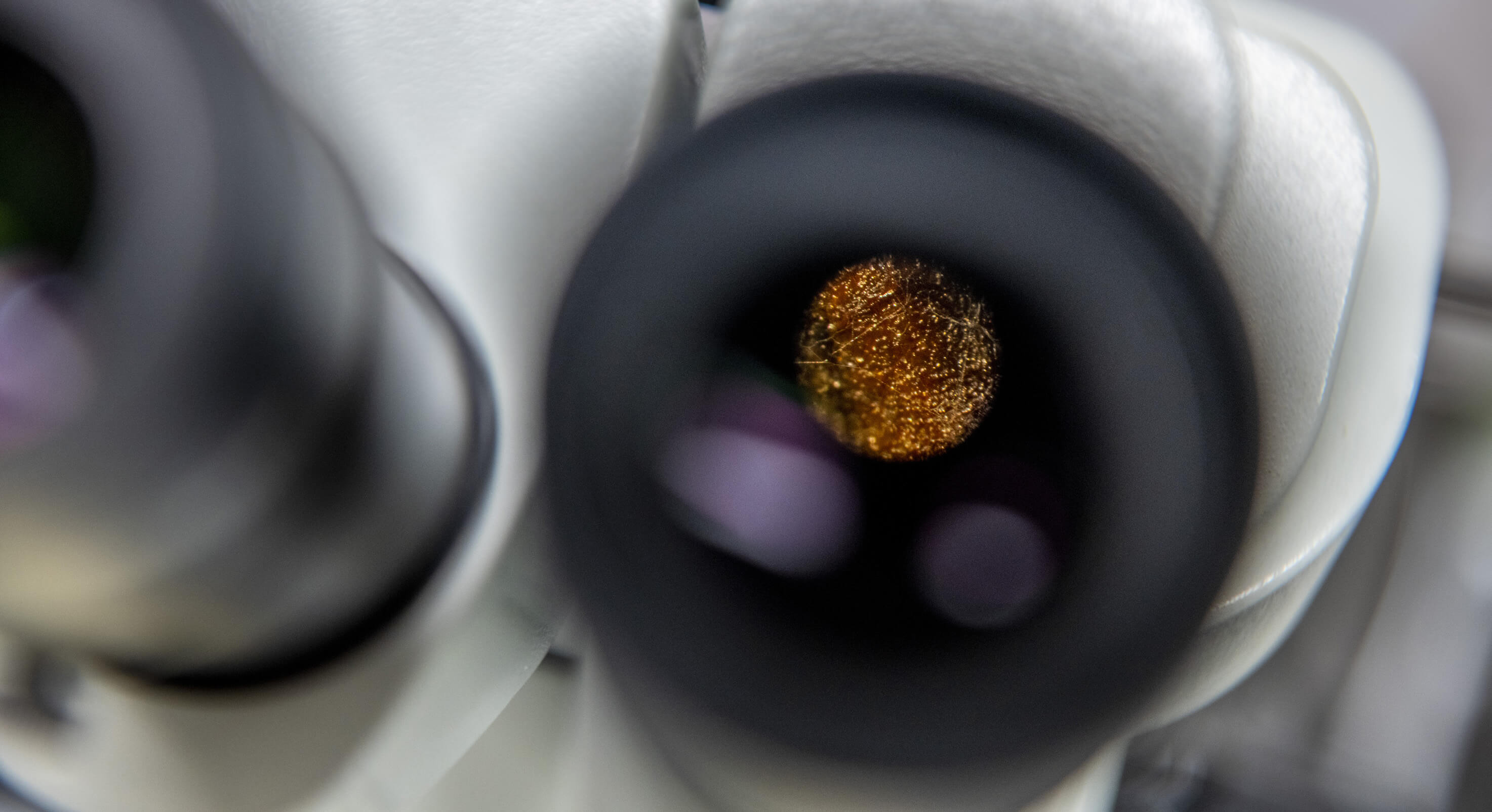 Microscope-view-centered-image