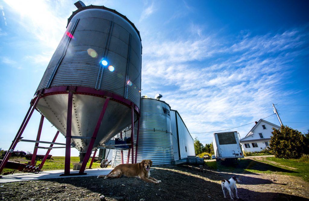 Grain silo