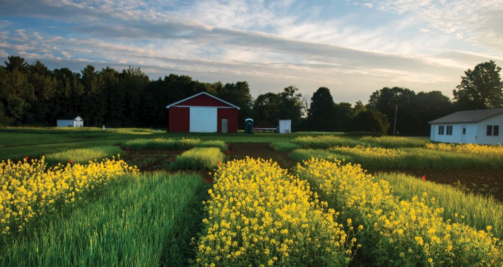 Rogers Farm