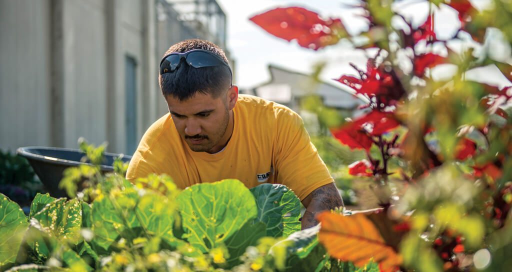 Inmate gardening