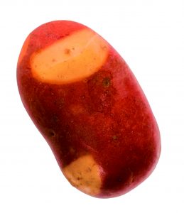 Pinto gold potato