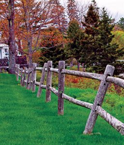 Rural Maine