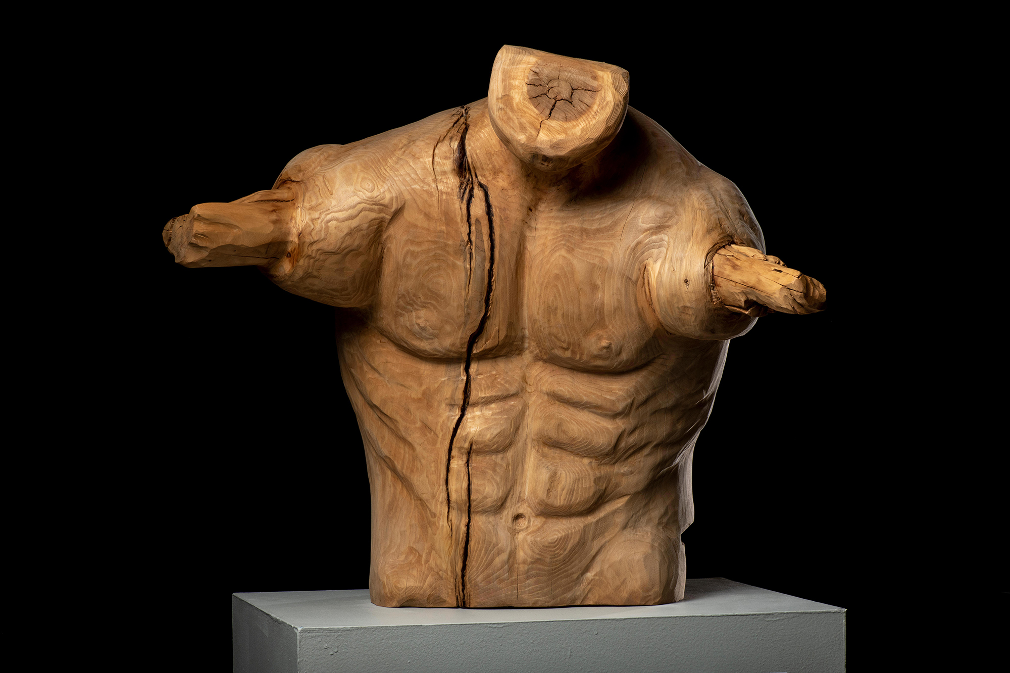 Natural Limbs: The man by Deborah Heyden [Wood Sculpture, 2017]