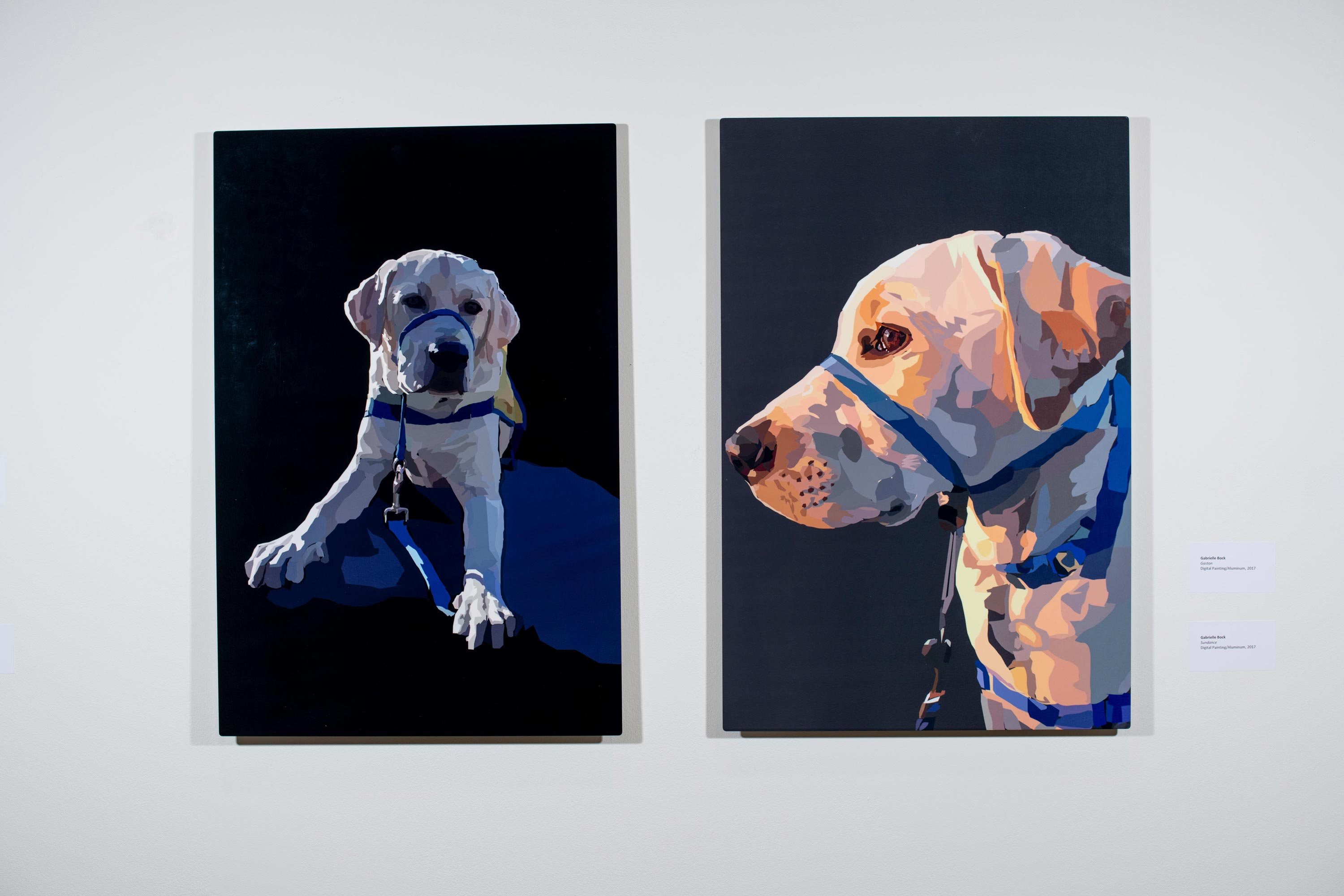 (from left to right) Gaston by Gabrielle Bock, Sundance by Gabrielle Bock [Digital Painting/Aluminum, 2017]