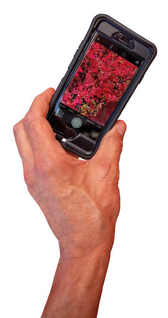 Plant image on cell phone