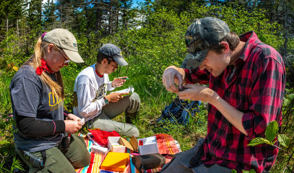 Researchers measuring birds