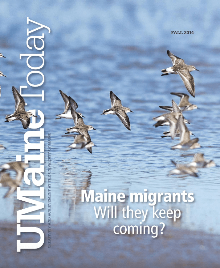A photo of a UMaine Today Magazine cover from the Fall/Winter 2014 issue