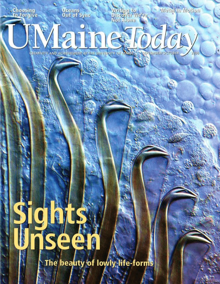 A photo of the cover of the September/October 2006 issue of UMaine Today magazine